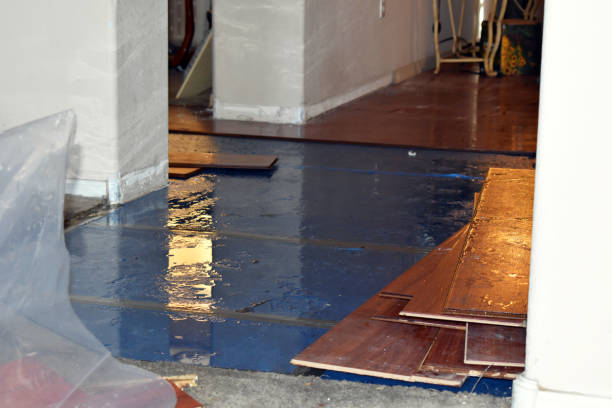 Professional Water Damage Restoration technician working in Lucerne, CO